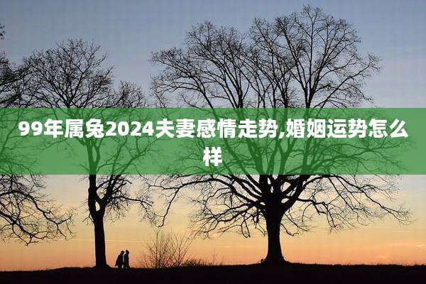 99年属兔2024夫妻感情走势,婚姻运势怎么样
