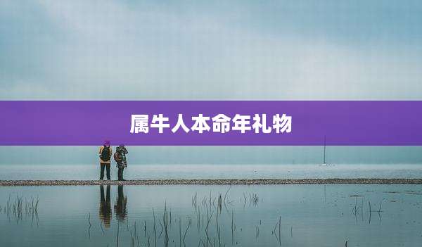 属牛人本命年礼物
