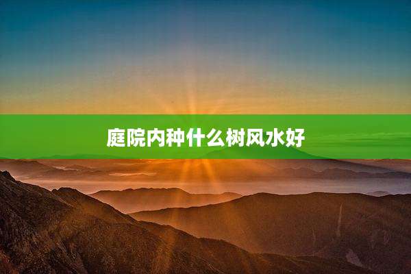 庭院内种什么树风水好
