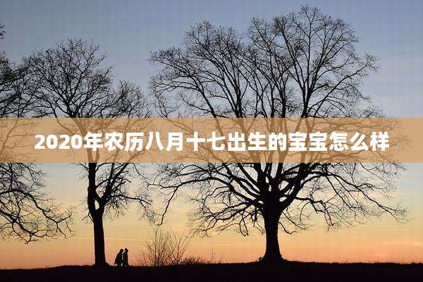 2020年农历八月十七出生的宝宝怎么样