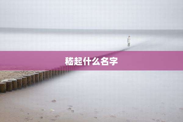 嵇起什么名字