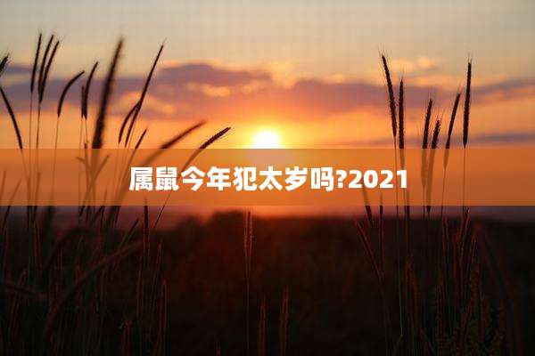 属鼠今年犯太岁吗?2021