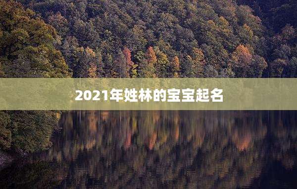 2021年姓林的宝宝起名