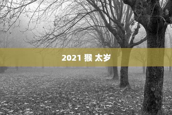 2021 猴 太岁