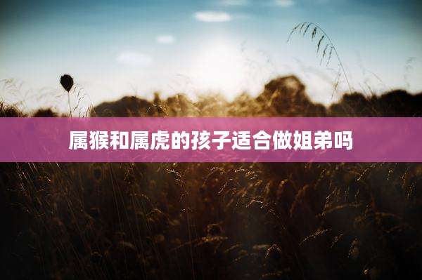 属猴和属虎的孩子适合做姐弟吗