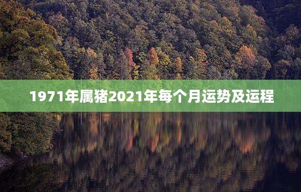 1971年属猪2021年每个月运势及运程