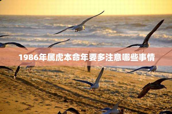 1986年属虎本命年要多注意哪些事情