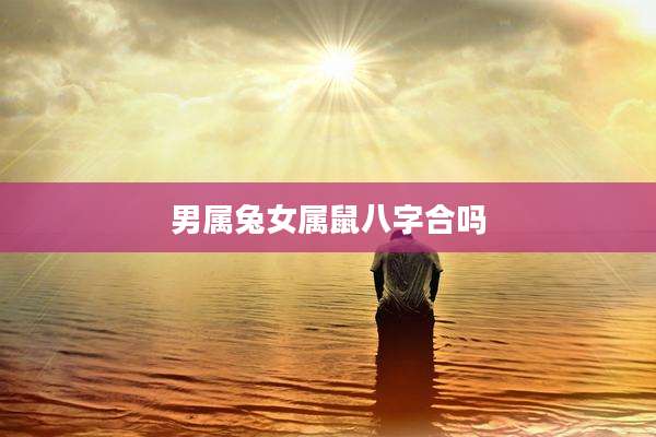 男属兔女属鼠八字合吗