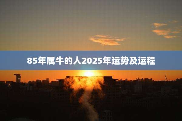 85年属牛的人2025年运势及运程