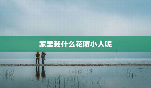 家里栽什么花防小人呢