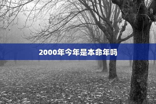2000年今年是本命年吗