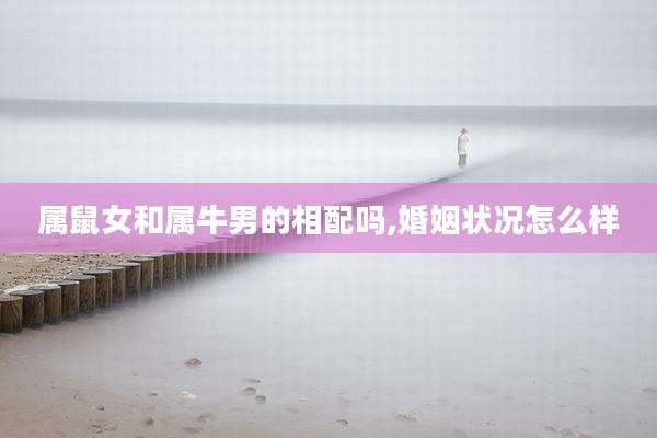 属鼠女和属牛男的相配吗,婚姻状况怎么样