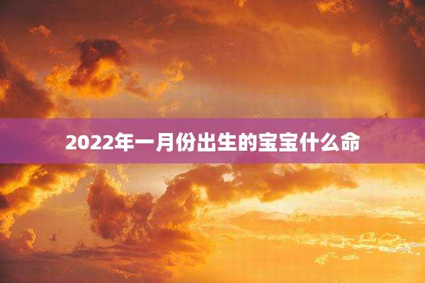 2022年一月份出生的宝宝什么命