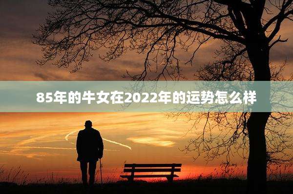 85年的牛女在2022年的运势怎么样