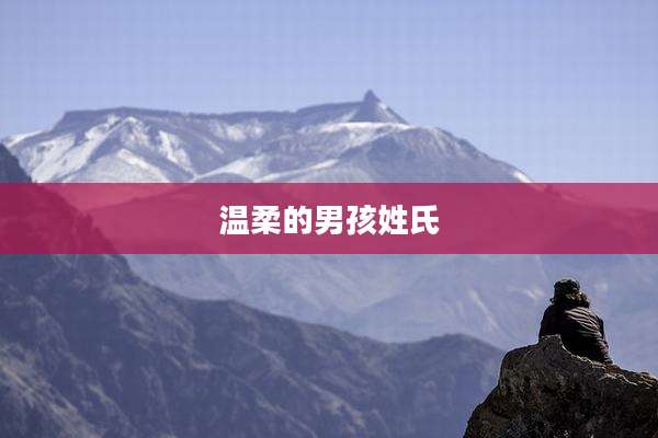 温柔的男孩姓氏