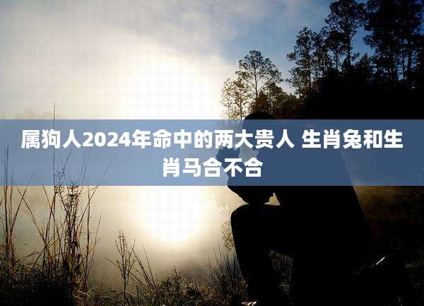 属狗人2024年命中的两大贵人 生肖兔和生肖马合不合
