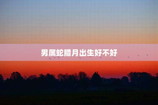 男属蛇腊月出生好不好