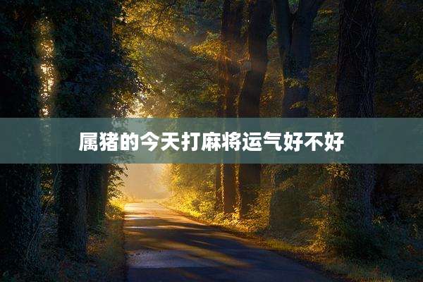 属猪的今天打麻将运气好不好
