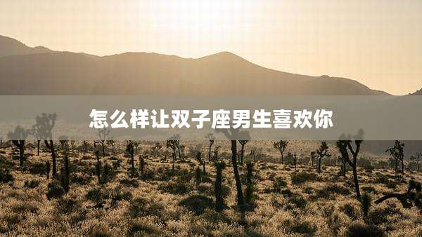 怎么样让双子座男生喜欢你