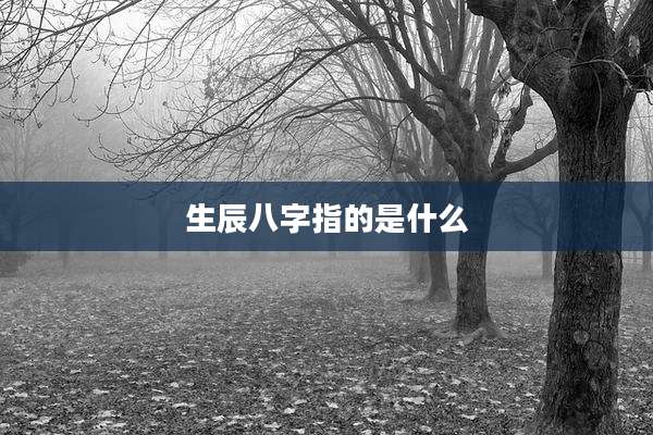 生辰八字指的是什么