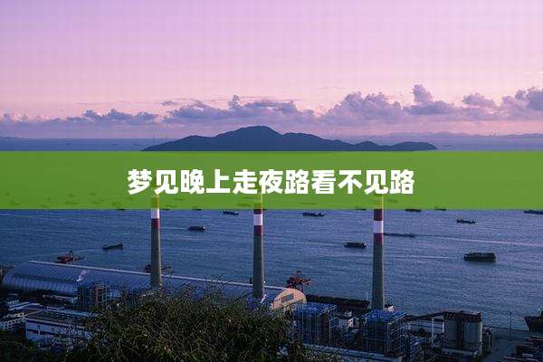 梦见晚上走夜路看不见路