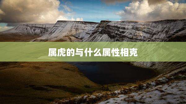 属虎的与什么属性相克