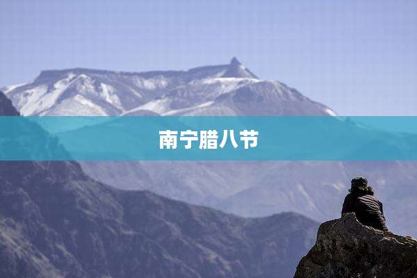 南宁腊八节