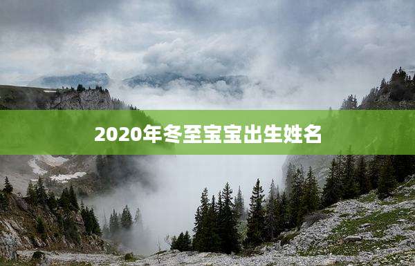 2020年冬至宝宝出生姓名
