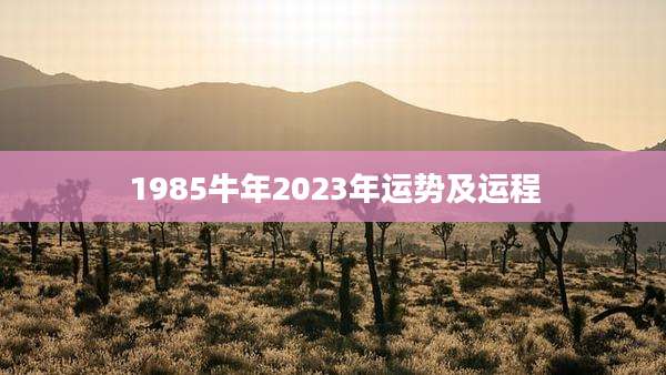 1985牛年2023年运势及运程