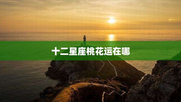 十二星座桃花运在哪