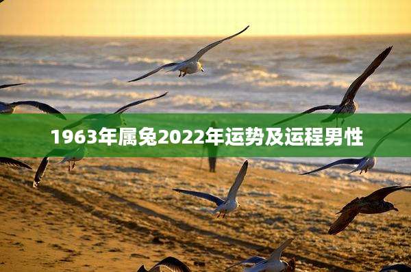 1963年属兔2022年运势及运程男性