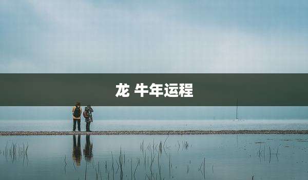 龙 牛年运程