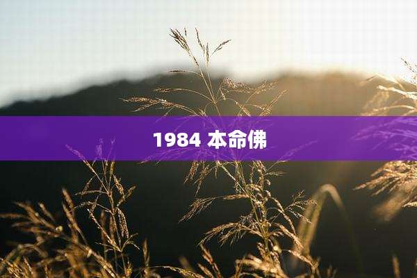 1984 本命佛