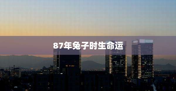 87年兔子时生命运