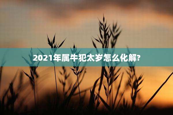 2021年属牛犯太岁怎么化解?