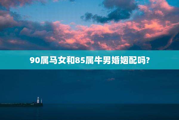 90属马女和85属牛男婚姻配吗?