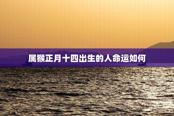 属猴正月十四出生的人命运如何