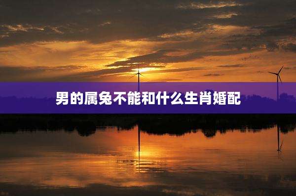 男的属兔不能和什么生肖婚配