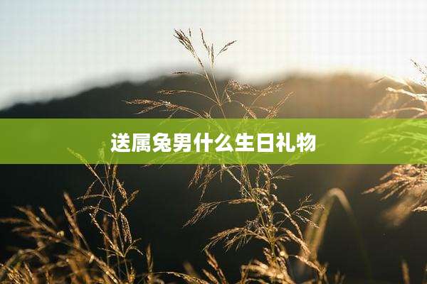 送属兔男什么生日礼物