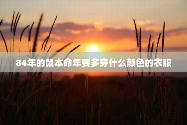 84年的鼠本命年要多穿什么颜色的衣服