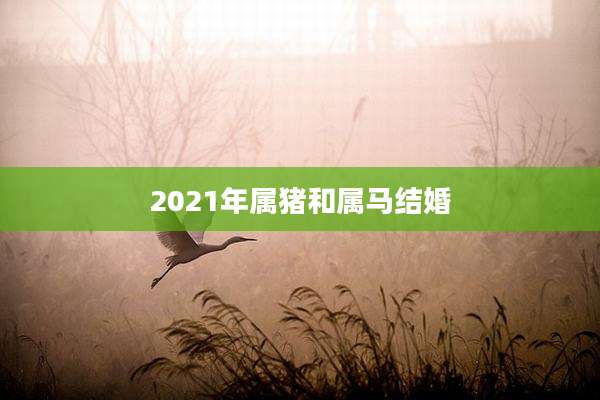 2021年属猪和属马结婚