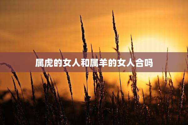 属虎的女人和属羊的女人合吗