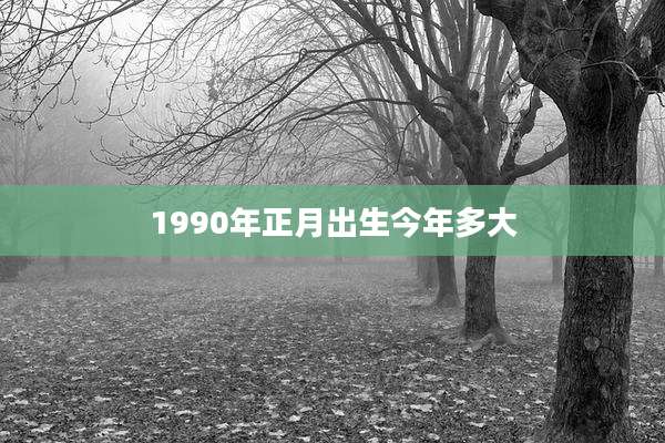 1990年正月出生今年多大