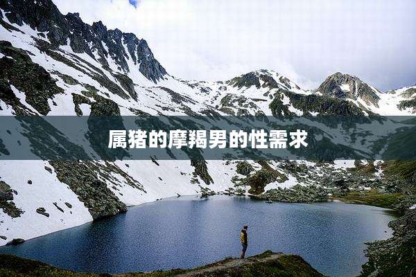 属猪的摩羯男的性需求