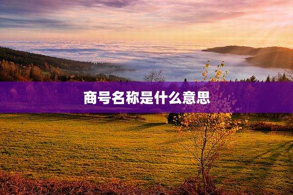 商号名称是什么意思