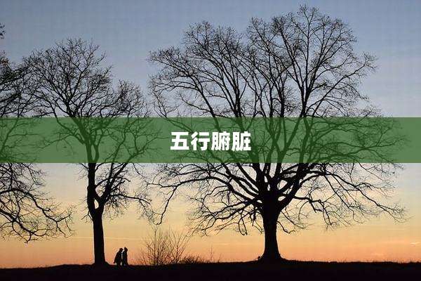五行腑脏