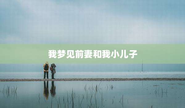 我梦见前妻和我小儿子
