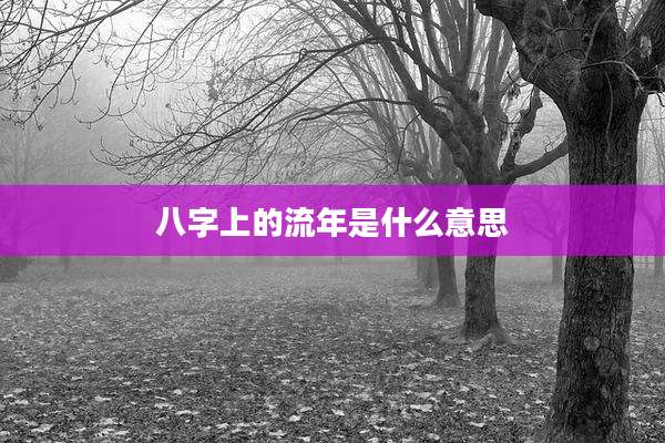 八字上的流年是什么意思