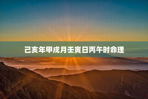 己亥年甲戌月壬寅日丙午时命理