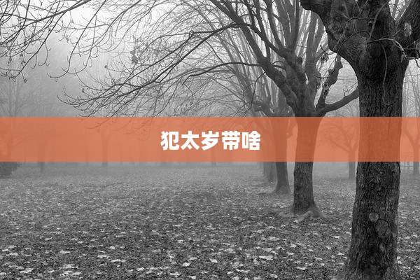 犯太岁带啥